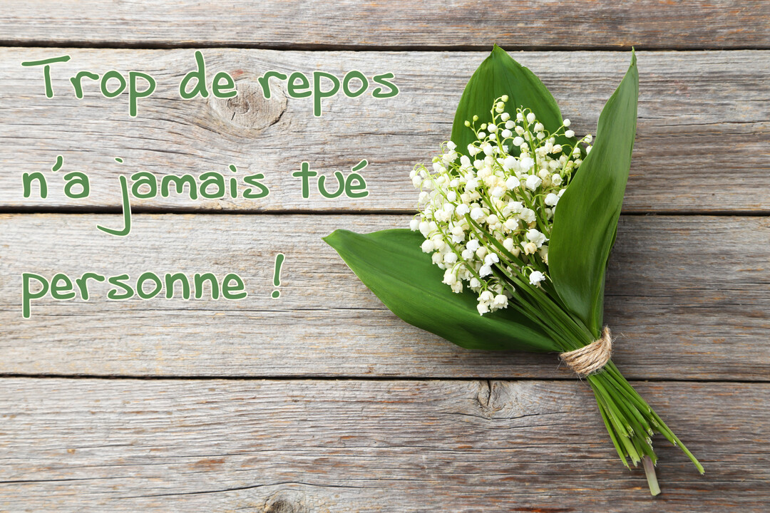 Un bouquet de muguet aux clochettes blanches et feuilles vertes, posé sur des planches de bois grises, avec une citation humoristique.