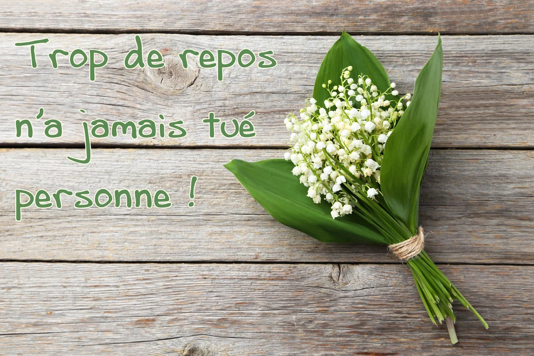 Un bouquet de muguet aux clochettes blanches et feuilles vertes, posé sur des planches de bois grises, avec une citation humoristique.