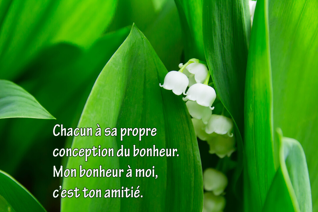 Gros plan sur des brins de muguet blanc délicats, nichés au creux de larges feuilles d'un vert intense, avec un texte poétique superposé.
