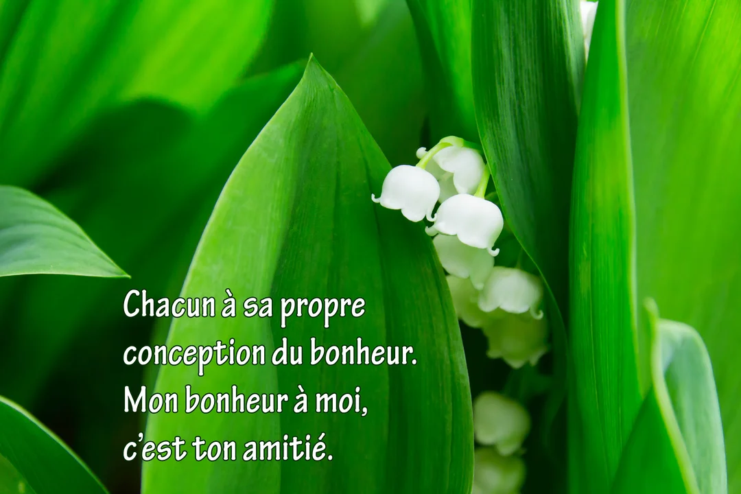 Gros plan sur des brins de muguet blanc délicats, nichés au creux de larges feuilles d'un vert intense, avec un texte poétique superposé.