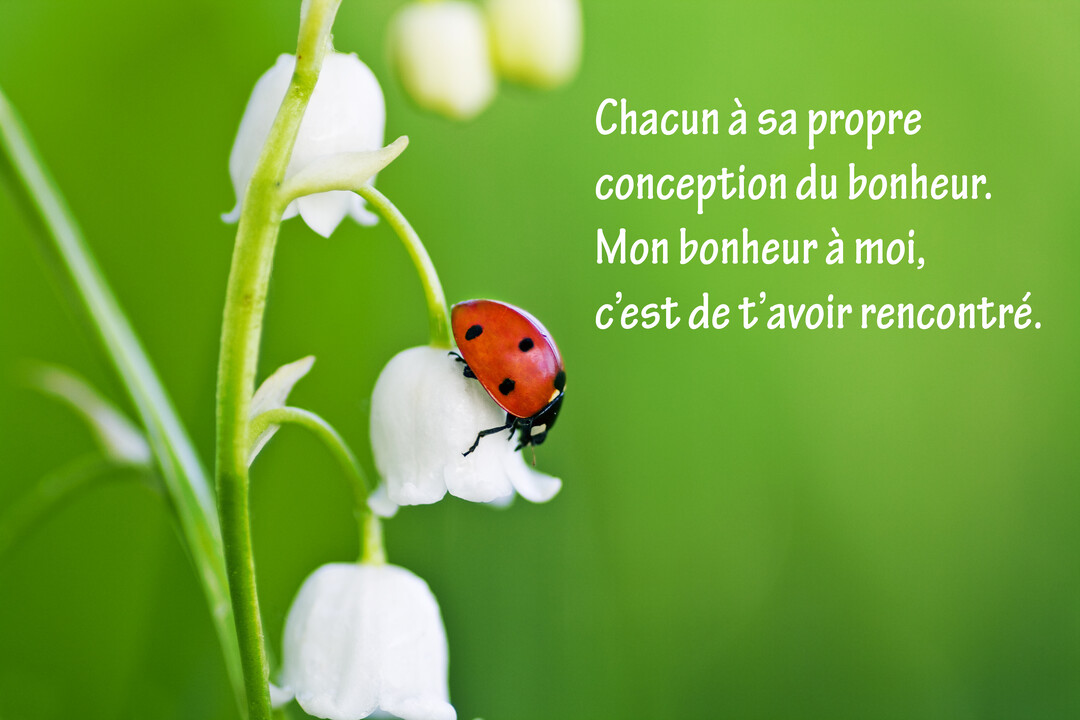 En gros plan, une coccinelle rouge à points noirs est posée sur une clochette blanche de muguet, sur un fond vert nature.