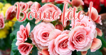 Aperçu de la carte : Bonne fête