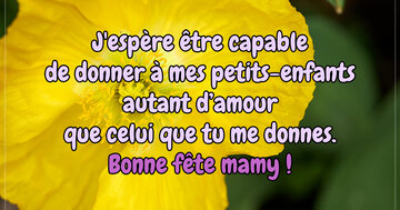 Aperçu de la carte : « J'espère donner à mes petits-enfants autant d'amour que celui que tu me donnes... »