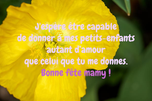 Carte pour la Fête des Grands-mères montrant une fleur jaune éclatante avec le message d'amour et d'admiration : 'Bonne fête mamy !'