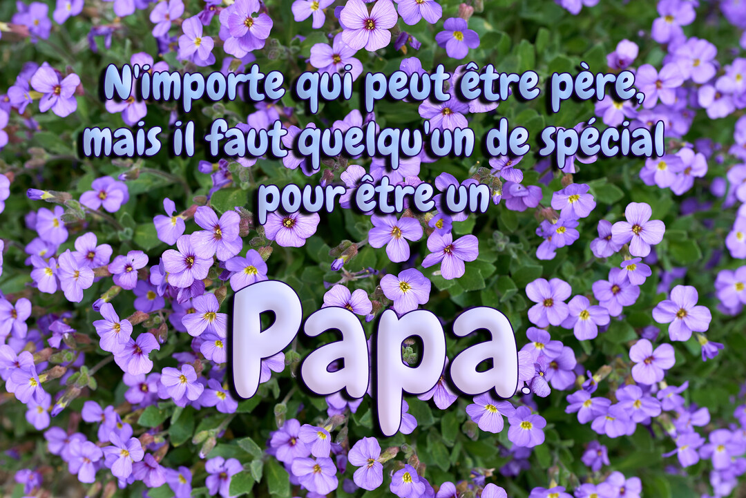 Une citation pour la Fête des Pères est superposée sur une photographie d'un parterre dense de petites fleurs violettes et de feuillage vert.
