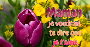 Aperçu de la carte : Maman 
je voudrais 
te dire que
 je t'aime.