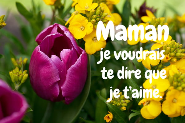 Carte pour la Fête des Mères avec une tulipe magenta et des fleurs jaunes. Texte : 'Maman je voudrais te dire que je t'aime.'