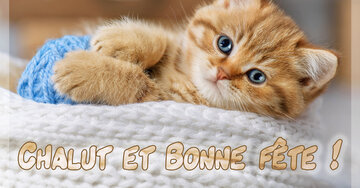 Aperçu de la carte : Chalut et Bonne fête !