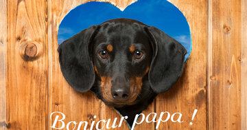 Aperçu de la carte : Bonjour papa !