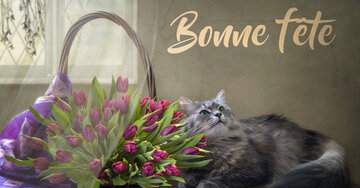 Aperçu de la carte : Bonne fête