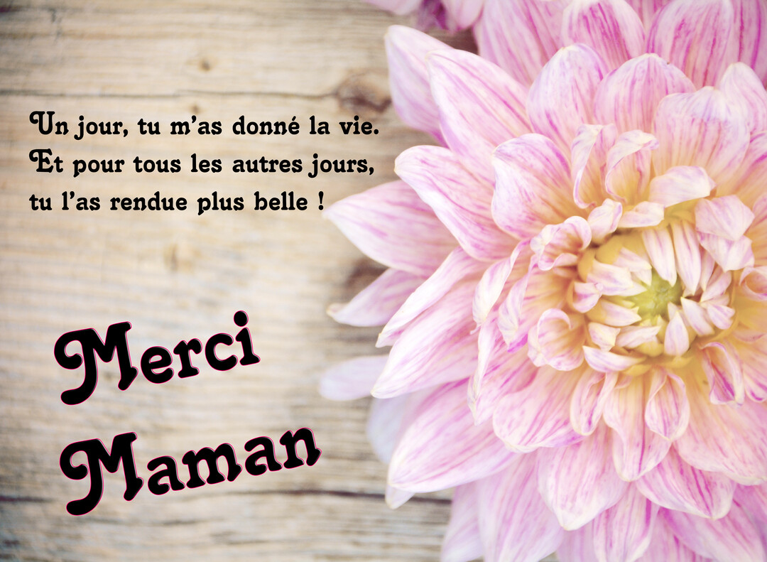 Une carte de vœux avec une grande fleur de dahlia rose et blanche sur un fond en bois, accompagnée d'un message de remerciement pour une maman.