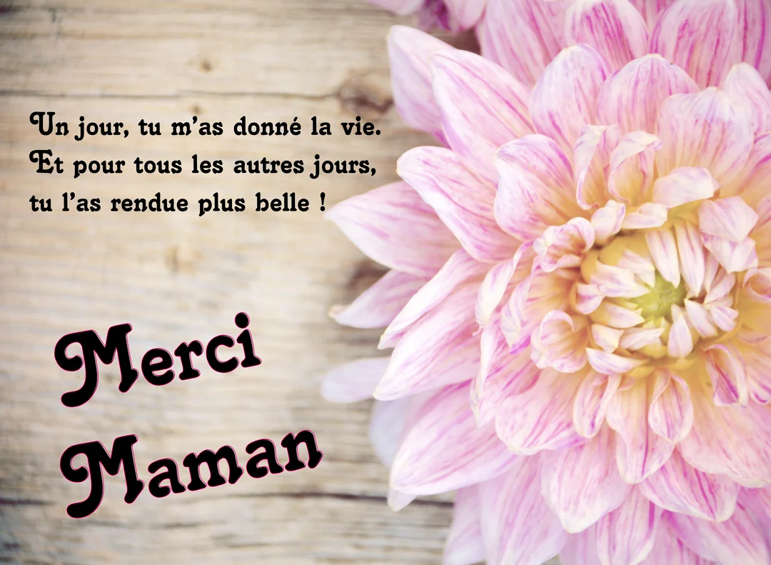 Une carte de vœux avec une grande fleur de dahlia rose et blanche sur un fond en bois, accompagnée d'un message de remerciement pour une maman.