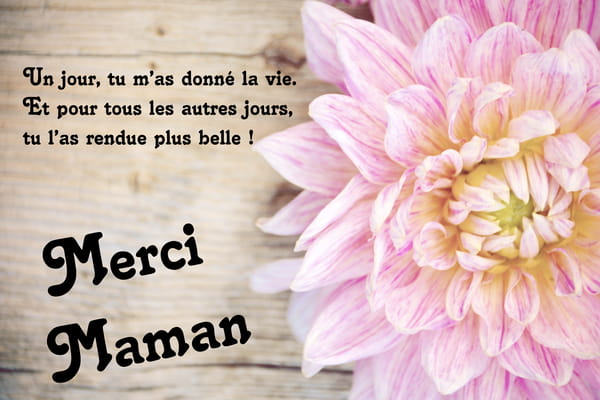 Carte pour la Fête des Mères avec une fleur de dahlia rose sur fond bois. Texte de remerciement : 'Un jour, tu m'as donné la vie. Et pour tous les autres jours, tu l'as rendue plus belle ! Merci Maman.'