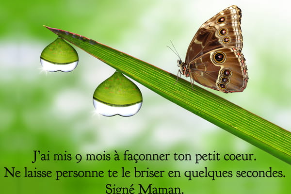 Carte avec un message d'une maman à son enfant. Un papillon sur un brin d'herbe à côté de gouttes d'eau en forme de cœur.