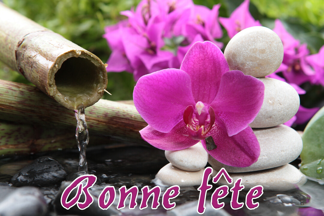 Une scène apaisante montre une fleur d'orchidée magenta, des galets empilés et de l'eau coulant d'un bambou sur des pierres sombres.
