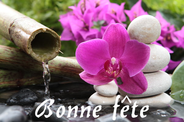 Carte de Fête des Grands-mères : une orchidée magenta posée sur des galets blancs, à côté d'une fontaine de bambou.