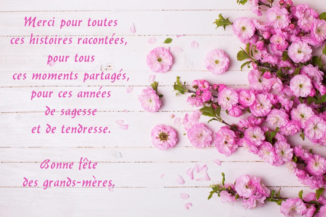 Vue de dessus de branches de fleurs de cerisier roses posées sur des planches de bois blanc, accompagnées d'un texte de vœux.