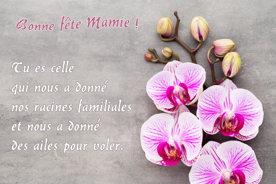 Sur un fond texturé gris, une branche d'orchidées roses et blanches avec des bourgeons accompagne un texte de vœux pour une grand-mère.