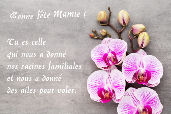 Carte de Fête des Grands-mères. Fleurs d'orchidées roses sur fond gris. Texte : 'Bonne fête Mamie, tu nous as donné nos racines et des ailes'.