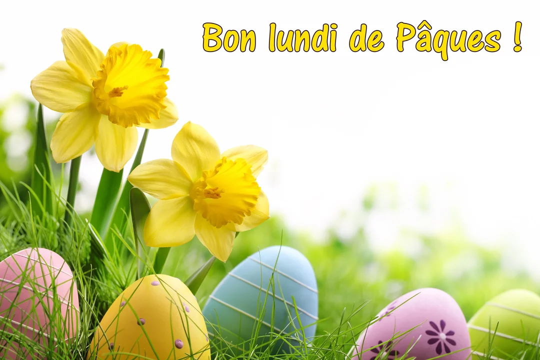 Une scène printanière montrant deux jonquilles jaunes à côté d'une rangée d'œufs de Pâques décorés, posés dans l'herbe verte et fraîche.