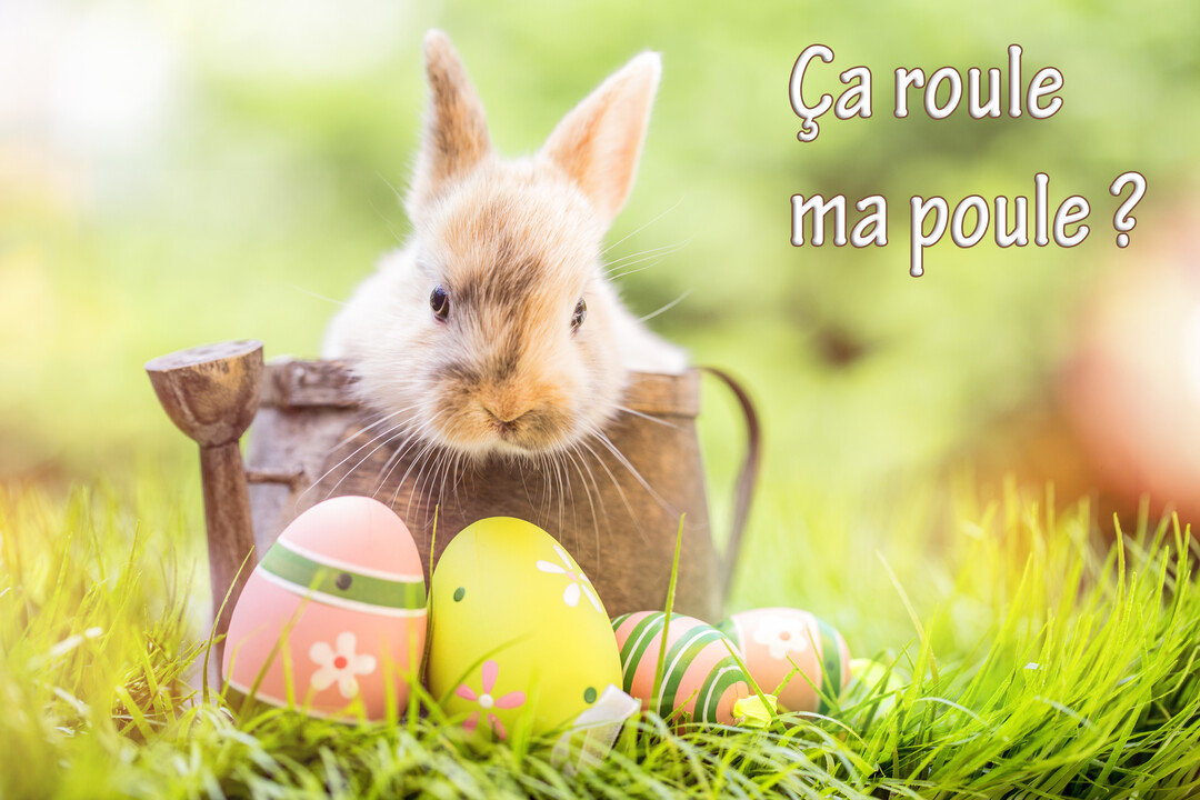 Un petit lapin brun et blanc est assis dans un arrosoir en métal, posé dans l'herbe près d'œufs de Pâques décorés.