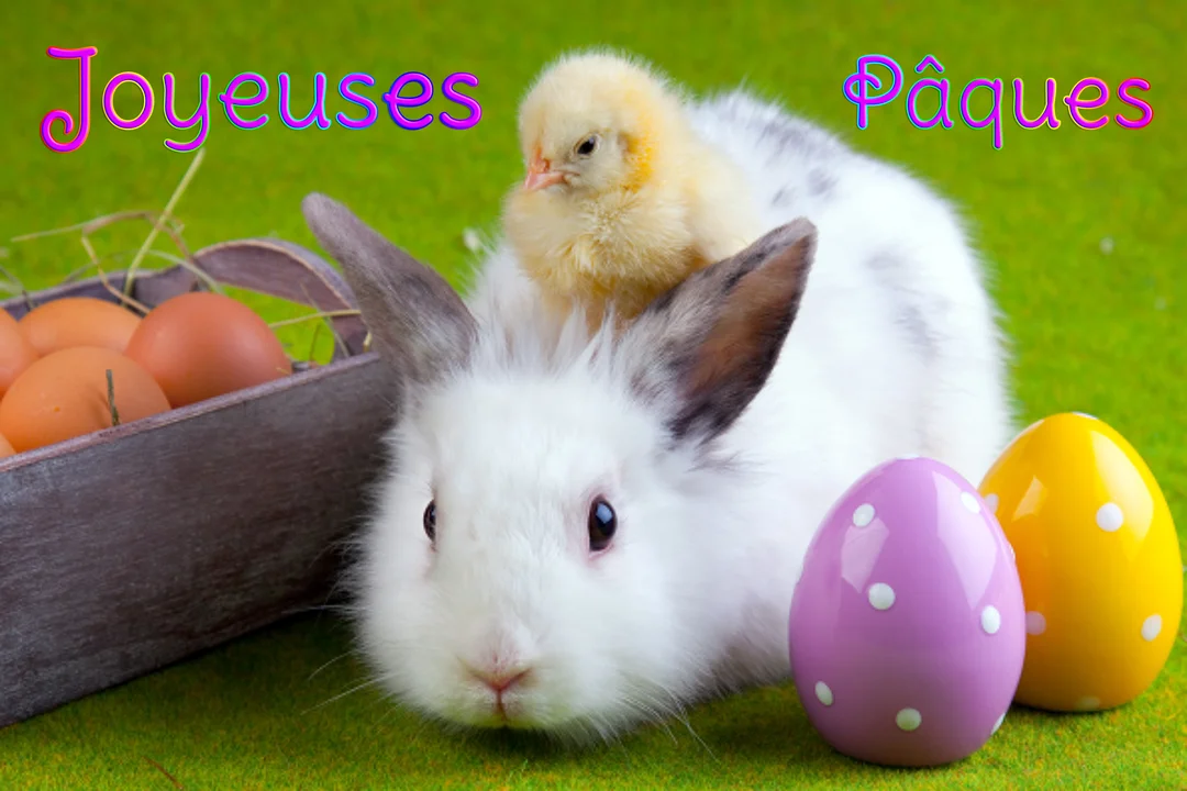 Un lapin blanc pelucheux et un petit poussin jaune sont assis sur de l'herbe verte à côté d'œufs de Pâques décorés.