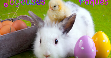 Aperçu de la carte : Joyeuses Pâques