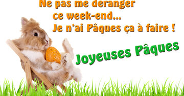 Aperçu de la carte : C'est Noël ! Non ! C'est Pâques !