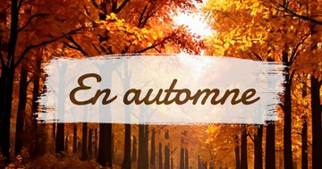 Aperçu de la carte : « En automne les châtaignes, potimarrons, clémentines et carottes donnent leurs couleurs... »