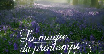 Aperçu de la carte : La magie du printemps est partout