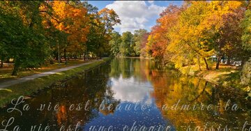 Aperçu de la carte : « La vie est une chance, saisis-la. La vie est beauté, admire-la... »