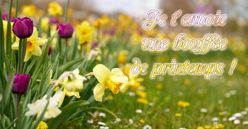 Aperçu de la carte : Je t'envoieune boufféede printemps !
