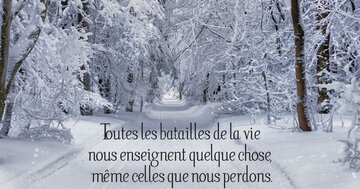 Aperçu de la carte : « Toutes les batailles de la vie nous enseignent quelque chose... »