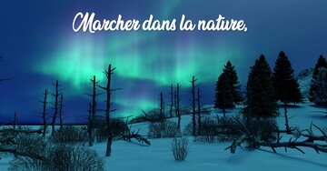 Aperçu de la carte : 