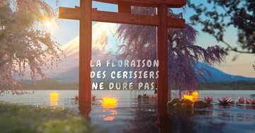 Aperçu de la carte : « La floraison des cerisiers ne dure pas... comme dans la vie, l'essentiel... »