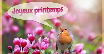 Aperçu de la carte : Joyeux printemps