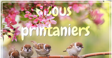 Aperçu de la carte : Bisous printaniers