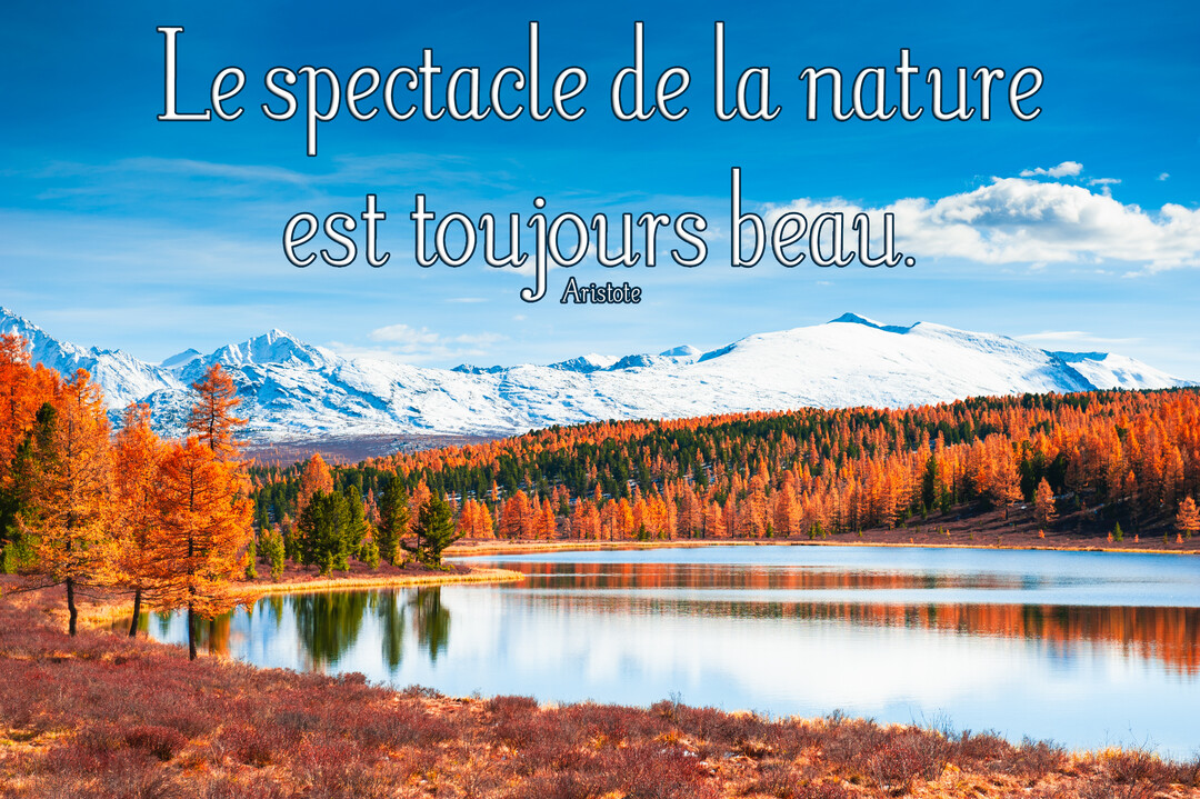 Un paysage automnal saisissant avec un lac limpide, des arbres aux teintes orangées et des montagnes enneigées sous un ciel bleu clair.