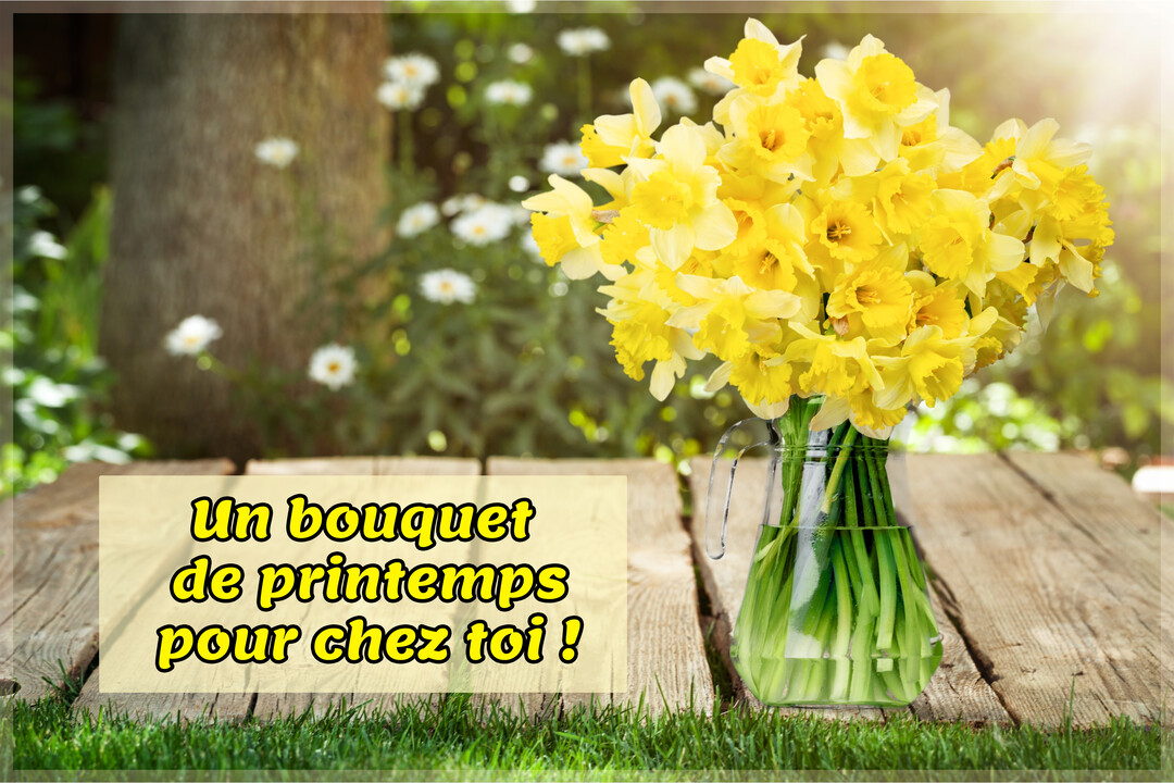 Photographie d'un vase transparent rempli de jonquilles jaunes, posé sur une table en bois à l'extérieur, avec un jardin verdoyant en arrière-plan.