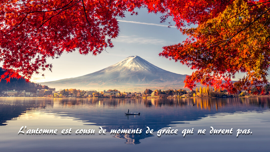 Vue panoramique du Mont Fuji enneigé se reflétant dans un lac calme, encadrée par des branches d'érable aux feuilles rouge vif.