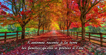 Aperçu de la carte : « L'automne raconte à la terre les feuilles... »