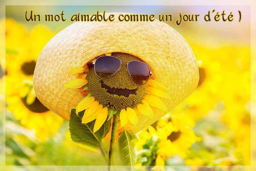 Un tournesol anthropomorphisé avec un grand sourire, un chapeau et des lunettes de soleil se tient dans un champ de tournesols ensoleillé.