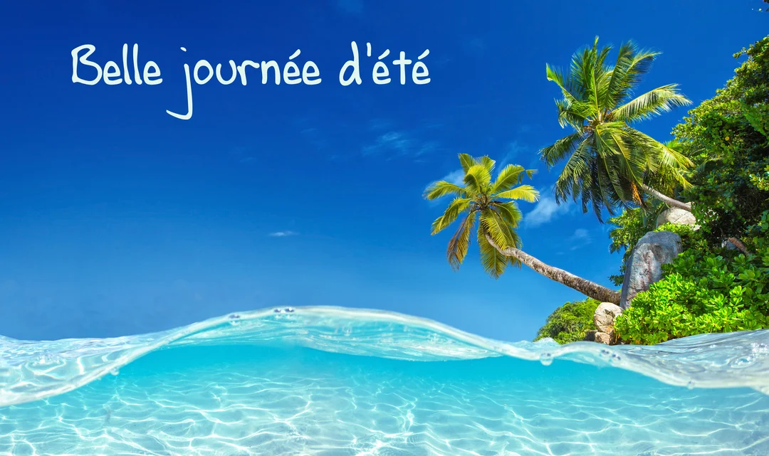 Vue partagée au-dessus et en-dessous de l'eau turquoise d'une plage exotique, avec des palmiers luxuriants sur une rive sous un ciel ensoleillé.