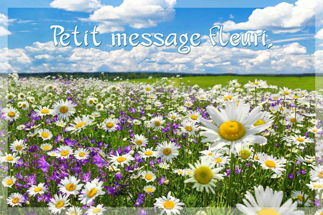 Un paysage printanier montrant un vaste champ de marguerites blanches et de fleurs violettes sous un ciel bleu parsemé de nuages cotonneux.