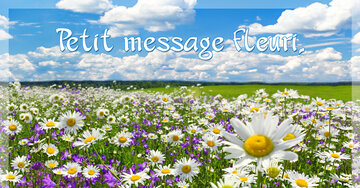 Aperçu de la carte : Petit message fleuri.