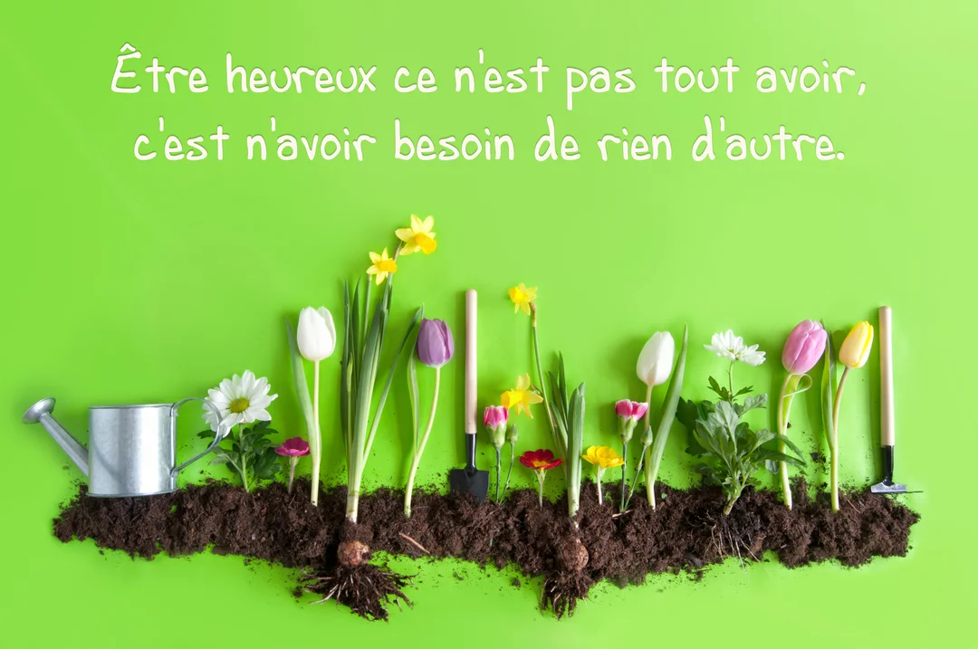 Une citation sur le bonheur est écrite sur un fond vert vif, au-dessus d'une ligne de terre où poussent diverses fleurs printanières.