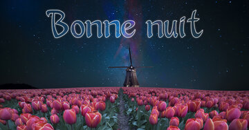 Aperçu de la carte : Bonne nuit