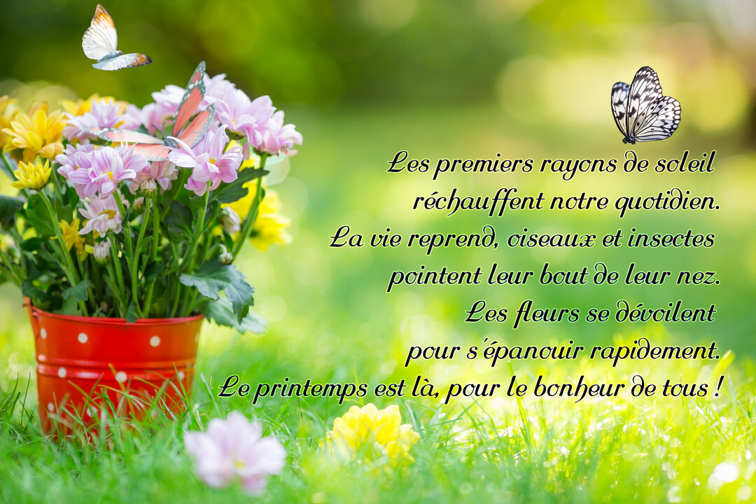 Une composition photographique printanière montrant un pot rouge à pois blancs rempli de fleurs multicolores sur une pelouse, avec plusieurs papillons en vol.