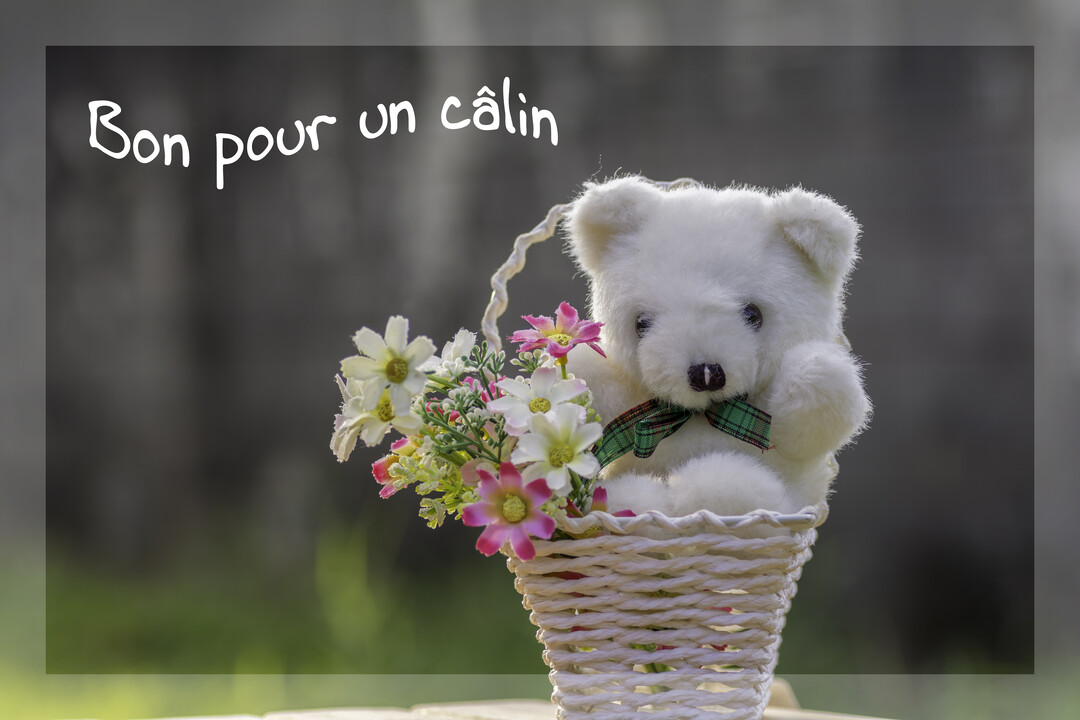Un ours en peluche blanc, assis dans un panier en osier avec des fleurs, regarde droit devant avec un fond naturel flou.