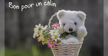 Aperçu de la carte : Bon pour un câlin